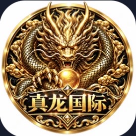真龙国际